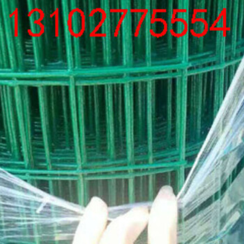 護(hù)欄網(wǎng)浸塑護(hù)欄網(wǎng)廠家綠色鐵絲網(wǎng)現(xiàn)貨