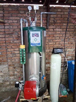 供应洛阳洗涤设备天然气蒸汽发生器行业