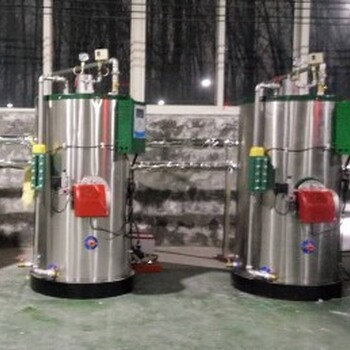供应焦作新款液化气蒸汽发生器智能燃气锅炉