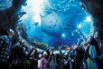香港3日游最佳路线海洋公园+全天自由行线路