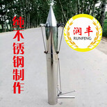 高产量栽苗器厂家定做移栽机秒载器价格蔬菜移栽器图片5