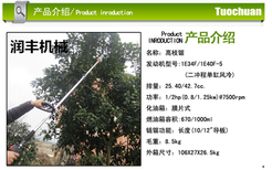 果树用高枝锯修剪高枝锯省时省力高枝锯汽油高枝锯图片4