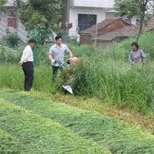 多行割曬機(jī)結(jié)構(gòu)高桿作物割曬機(jī)手扶式割曬機(jī)單行割曬機(jī)