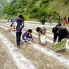 多用途斜跨式打孔机小苗移栽钻眼机背负式汽油烟钻