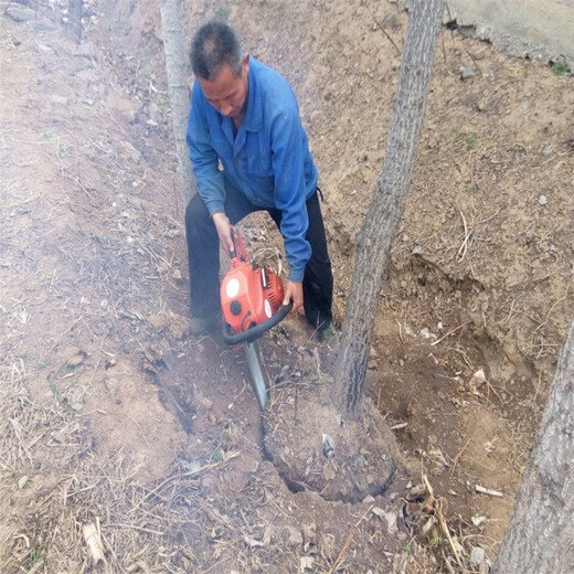挖树机自带豪华工具包合资动力铲树机80公分土球挖树机