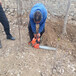 月牙铲手持式挖树机杨树苗起树机合资动力挖树机
