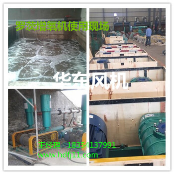增氧機(jī)微孔曝氣增氧機(jī)羅茨式增氧機(jī)選型參數(shù)