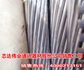 滄州生產商家鋼芯鋁絞線電纜