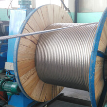生产厂家供应钢线铝绞线图片