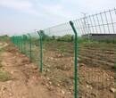 深圳果园围栏种植护栏园林隔离网景区安全防护网深圳园林防护网围栏网厂家