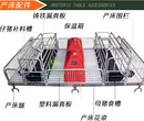 信阳光山养猪有雷区你踩到了么