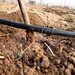 农业自动化系统滴灌系统配套设备滴灌系统主管道滴灌系统过滤器