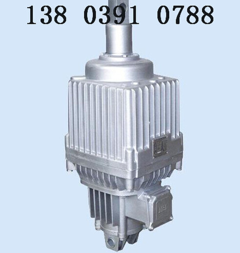 ED301/12电力液压推动器