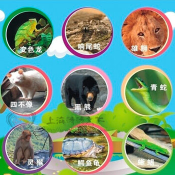 百鳥展百鳥園出租百鳥全國巡演鳥類文化藝術(shù)節(jié)全國預(yù)定
