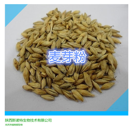 麦芽提取物10:1-20:1麦芽粉麦芽生粉麦芽喷雾干燥粉