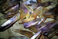 新西兰宝石碎石进口报关公司