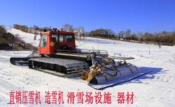 滑雪场设备压雪机造雪机滑雪场器材批发零售图片4