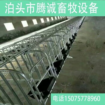 供应母猪定位栏复合板定位栏母猪高床待产栏