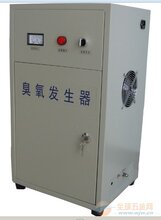 厂家专业定做一体化臭氧发生器杀菌除异味图片
