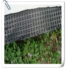 hdpe濾水板車庫頂綠化塑料隔根板工程排水安徽水草種植工地綠化板