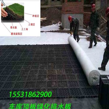 保湿阻根蔬菜蓄水板隔热透水土工布新建区杭州成品蓄水板