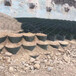 福建护坡填土绿化网格蜂窝立体格栅堤坡防护框架巢室约束系统格