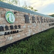 遂宁小脚土鸡苗绿壳蛋鸡苗常年批发提供技术自生源禽苗孵化基地