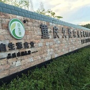 遂宁小脚土鸡苗绿壳蛋鸡苗常年批发提供技术自生源禽苗孵化基地