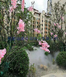 滨州喷雾造景系统性能图片0