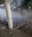 南京喷雾造景系统市场需求图片4