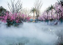 宿州高压喷雾设备原理图片4
