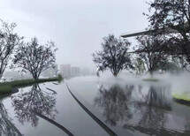 陕县景观人造雾设备品牌图片5