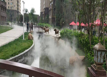 陕县景观人造雾设备品牌图片1