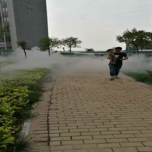 徐州园林人工造雾设备方案