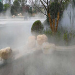 阳江公园雾森系统送货上门图片3