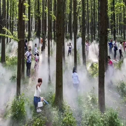 徐州园林景观雾森系统原理