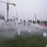 九江公园人造雾系统主机图片5