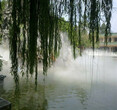 上海别墅区雾喷设备静音型图片