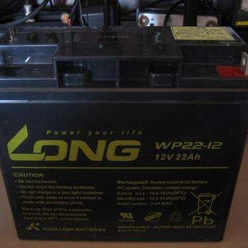 LONG(广隆)蓄电池WP45-1212V45AH报价-
