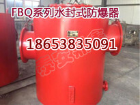 FBQ-250水封式防暴器出厂价，水封式防暴器型号图片4