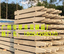 廣州預制水泥方樁價格/水泥方樁規格圖片