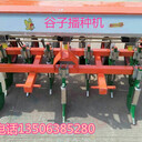 高品質(zhì)谷子播種機(jī)谷子播種機(jī)生產(chǎn)廠家