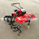 吉林長(zhǎng)春果園微耕機(jī)大棚微耕機(jī)廠家