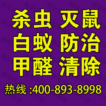 深圳沙头角小梅沙白蚁防治公司民治龙华灭蟑螂公司哪家