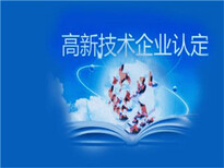 2022年在德州市办理高新技术企业认定的条件有哪些图片4