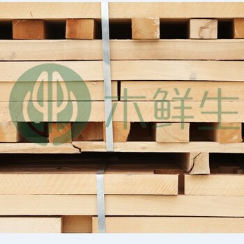 广东省厂家德国榉木木方原木木方制作木质工艺品