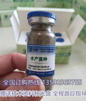 海參養(yǎng)殖出現(xiàn)亞硝酸鹽怎么辦