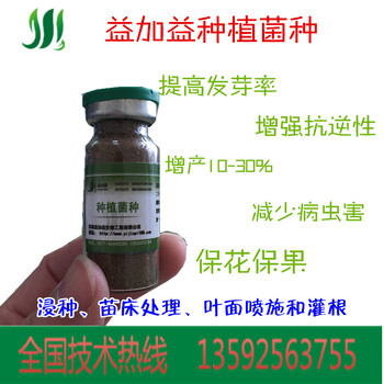 東營辣椒用em菌營養(yǎng)液蔬菜葉面肥保產(chǎn)保收