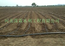 河北滴灌带厂家生产减少病虫害的滴灌带图片3