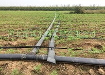 河北滴灌带厂家生产减少病虫害的滴灌带图片4